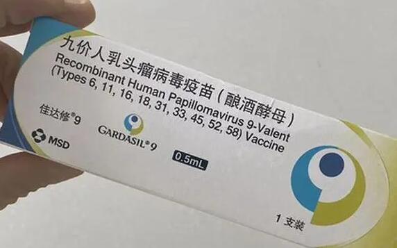 九价hpv价格是多少钱一针？